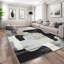 Tapis de salon Modern Abstract-1486577065