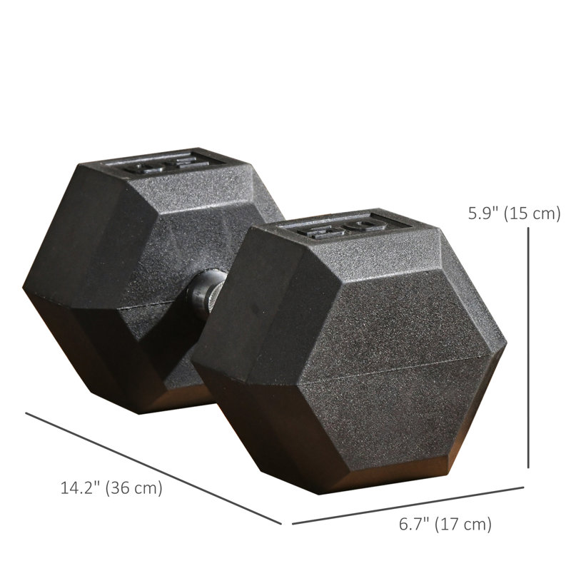 Ensemble de 2 haltères de 50 lb pour la gymnastique à domicile