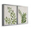 «Botanical Wash I», ensemble de 2 reproductions d'art sur toiles-455244307-455244299-455244318