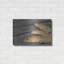 Luxe Gold Art «Gold On Black VI» par Lori Deiter, «Gold On Black VI» par Lori Deiter-101630519