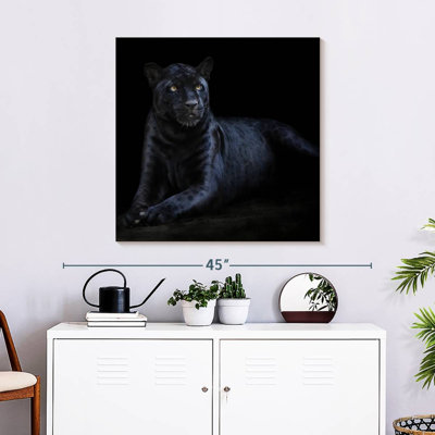 Jaguar noir Brampt