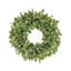 Pittosporum Spray Wreath