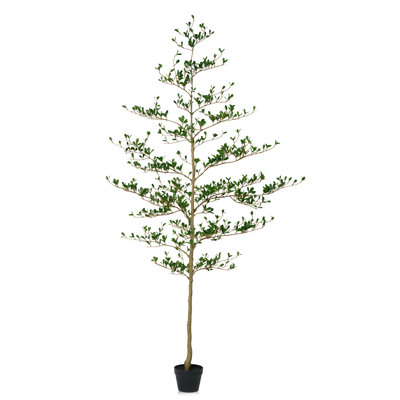 Adcock 84" Olive Tree in Pot