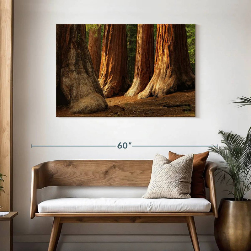 Harnek Ancient Sequoia Trees, 30" H x 45" W
