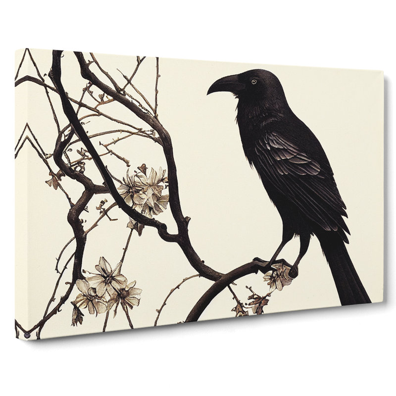 Terrific Crow Bird - Wrapped Canvas Print, 35cm H x 50cm W x 3cm D