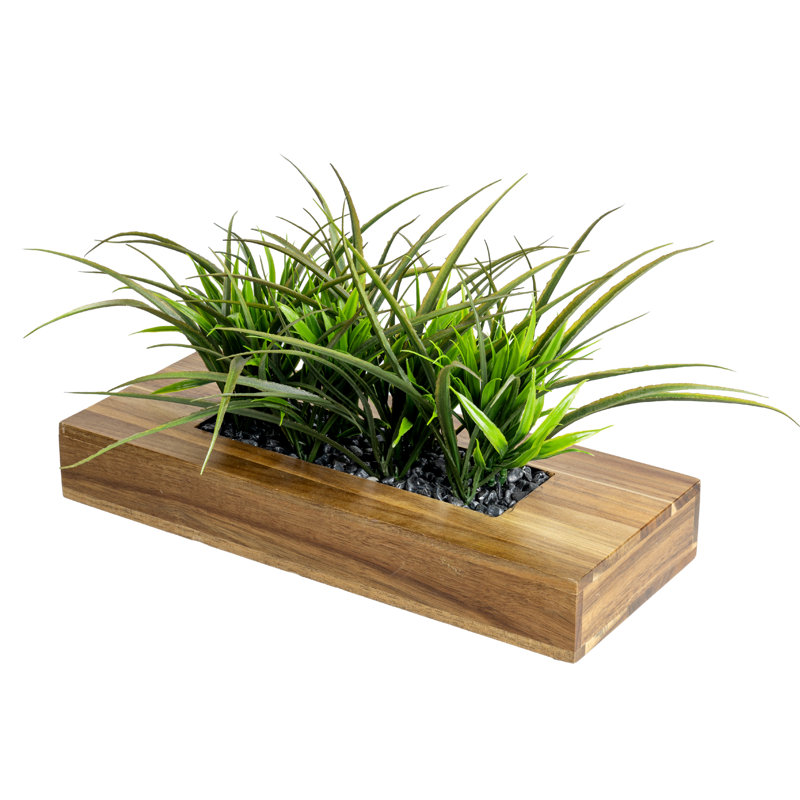 Faux plantes artificielles en bois d'acacia