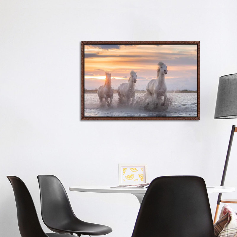 White Angels Of Camargue XXXII by Daniel Kordan - Print on Canvas, Classic Brown Wood Framed, 101.6 cm H x 66.04 cm W