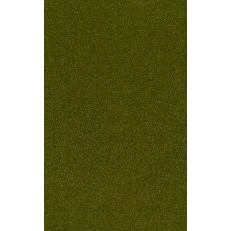 Tapis d'intérieur / extérieur Kalonni, Vert, L 48 po x L 72 po