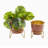 Metal Cachepot-543979906