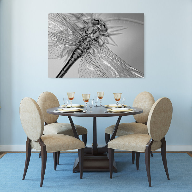 Monochrome Dragonfly Detail Delicate Elegant Serene Dragonfly Nature Wildlife Wall Art Print 1 Piece Wrapped Canvas Wall Art