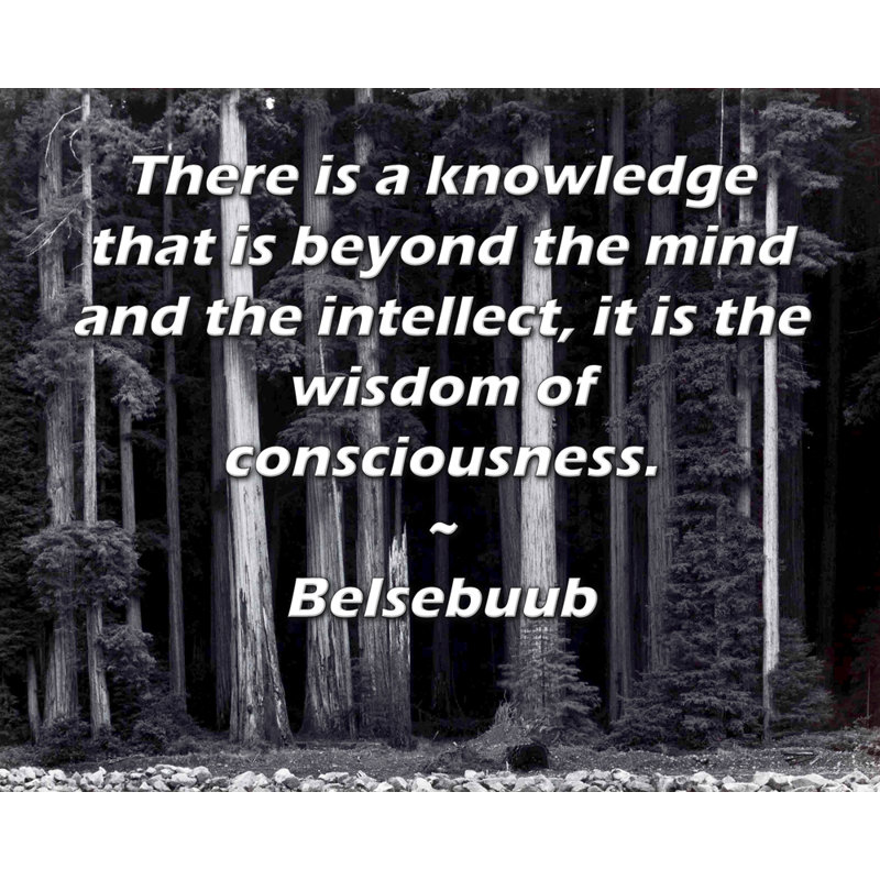 Toile tendue de la galerie ArtsyQuotes par Belsebuub: «Il y a une connaissance qui dépasse l'esprit et l'intellect, c'est la sagesse de la conscience.