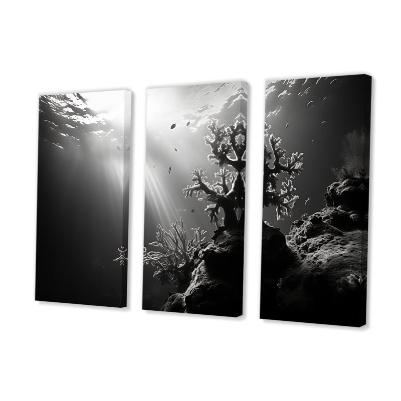 «Black and White Coral Artistic Ocean Ballet» - ensemble d'impression d'art mural corail sous l'eau