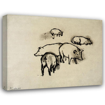 Pigs