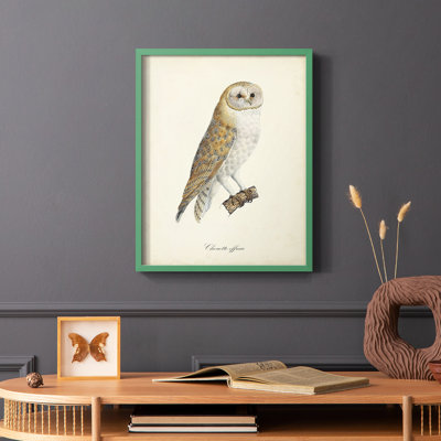 «French Owls VI», reproduction encadrée - bois massif