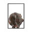Art hippopotame-49839937-49839954