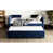 Dark Blue est en rupture de stock