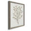 Toile simple encadrée Premium Sprig III - prête à être accrochée-1499364541-1499364538