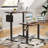 Radke Adjustable Standing Desk-781739307-781739310