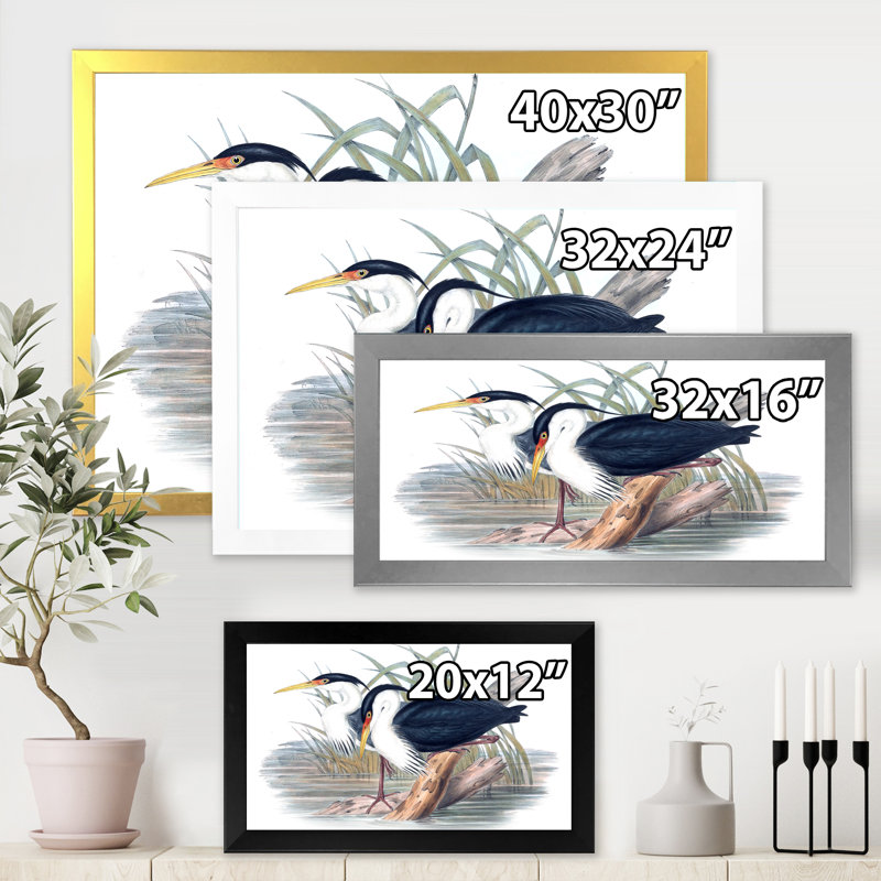 Vie d'oiseau rétro II - peinture sur toile, H 30 po x l 40 po x 1,5 po, Cadre photo noir