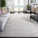 Aydee Hand Tufted Abstract Indoor Rug