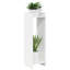 Plant Stand