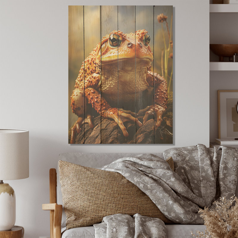 «Classic Frog Portrait I - Frogs & Toads», art mural sur bois de pin naturel, H 20 po x l 10 po
