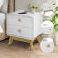Downall 2 Drawer Wood Nightstand, Bedside Table with Storage Drawers, Night Stand for Bedroom, End Table or Side Table for Living Room, 15.5" D x 18.9" W x 21.7" H-133100745