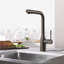 Essence Pull Out Single Handle Kitchen Faucet with Accessories-44388641