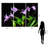 "Violete Belle" Frameless Free-Floating Reverse Printed Tempered Art Glass Panels Set