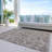  Alegandro Area Rug with Non-Slip Backing-1843320841