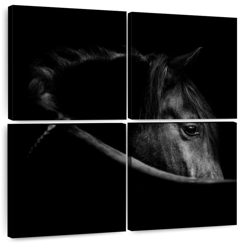 Art du cheval Brampt