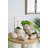 11.5X7x7" Sand And Cement Nautilus Shell Planter With Textured Beige Finish