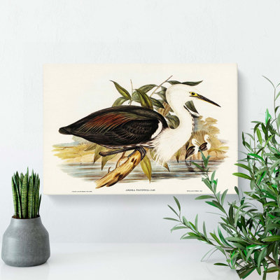 Pacific Herons by Elizabeth Gould - Wrapped Canvas Painting