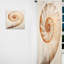 Nautilus Spiral I - rideau moderne - obscurcissant velours cuivre - 1 panneau Copper Curves-107585298