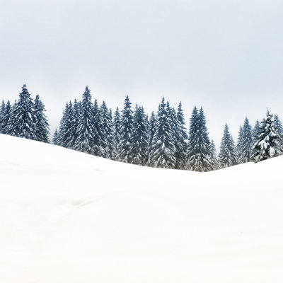 Winter Landscape by Loops7 - Wrapped Canvas Print