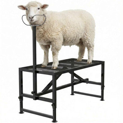 Support pour chèvres – Support de traite et de parage en métal réglable 119 x 58 cm, hauteur de têtière réglable de 53 à 69 cm, capacité de 227 kg, idéal pour les chèvres à cornes et autres animaux de ferme, noir