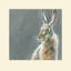 Herbert by Louise Brown - Rectangle Painting
