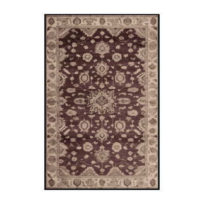 Machine Washable Overdyed Brown Area Rug