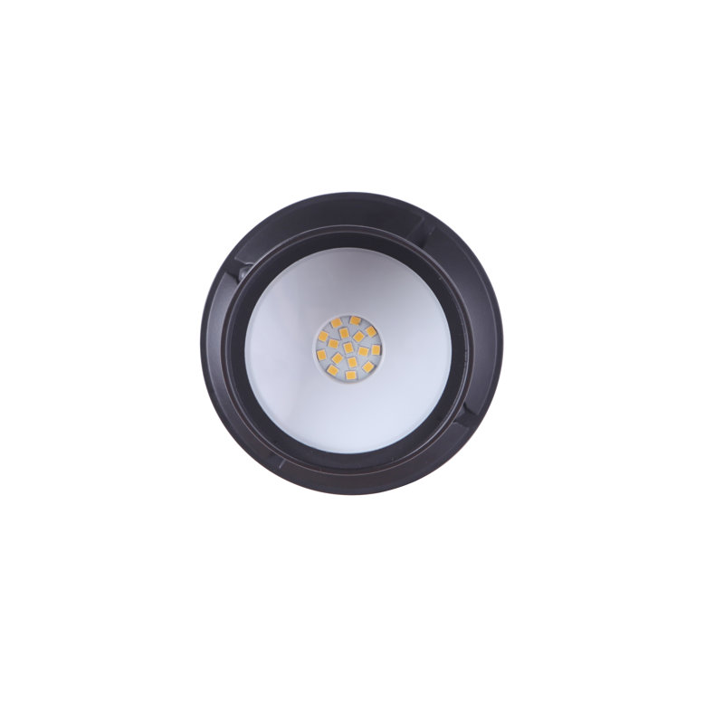 Midnight Black LED Outdoor Flood Light with Glass Shade