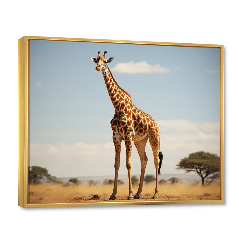 " Giraffe Gentle Horizon ", Cadre flottant doré, H 34 po x l 44 po