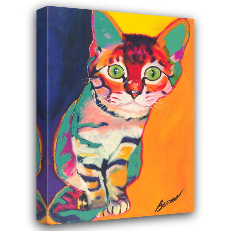 Tigre IMA-B509