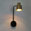 Lakeeta 1 - Light Dimmable Modern Black/Brass Armed Sconce