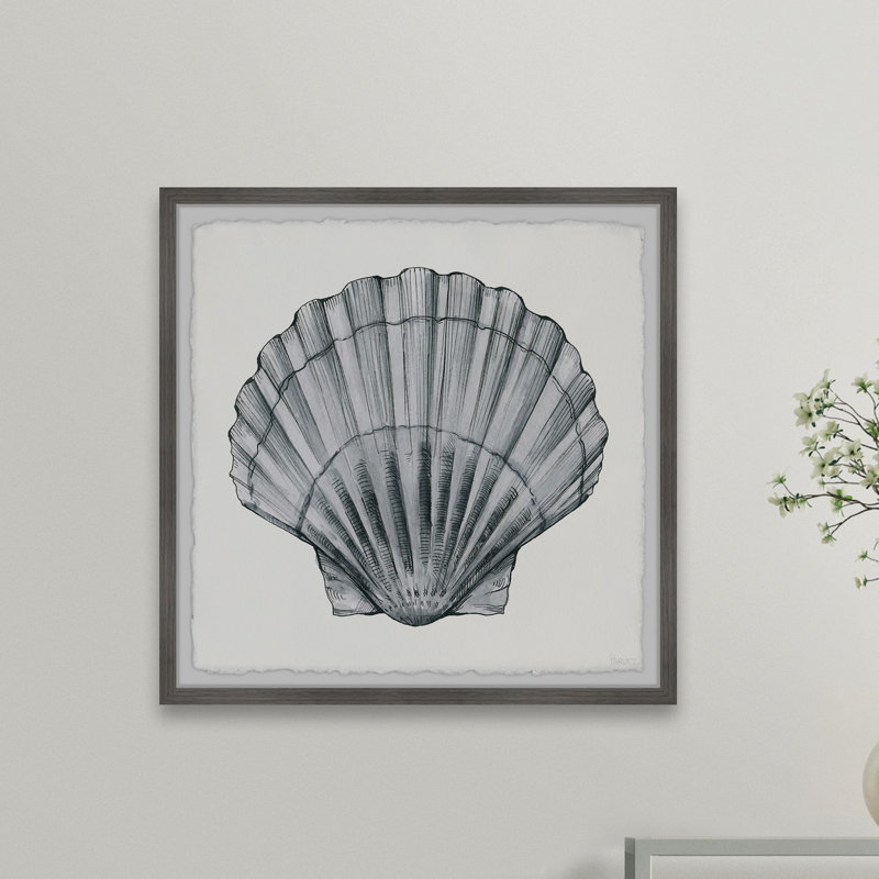 «Pretty Grey Shell», reproduction encadrée, H 24 po x l 24 po x P 1,5 po