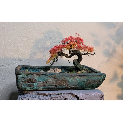 Aureate Bonsai