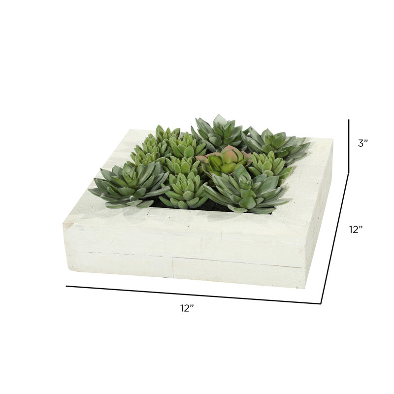 Ensemble de plantes grasses artificielles vertes 12 po x 12 po
