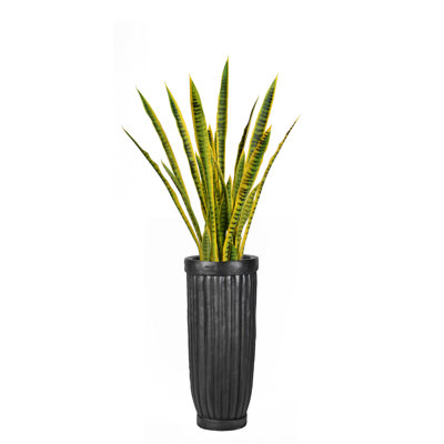 Panama 44" Artificial Snake Plant in Planter