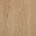 Sand Oak