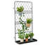 Treillis de support pour plantes Ringwald