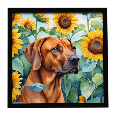 Rhodesian Ridgeback in Sunflowers Framed Metal Print