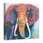 " Colourful Elephant "